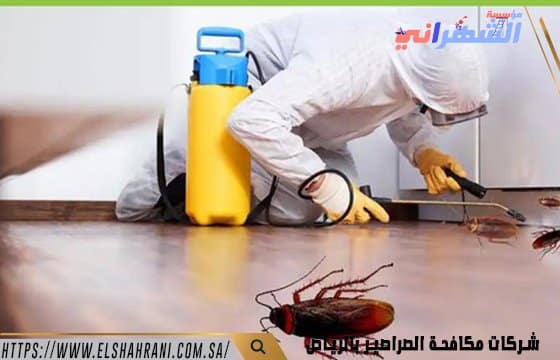 شركات مكافحة الصراصير بالرياض