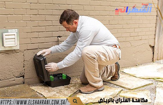 مكافحة الفئران بالرياض